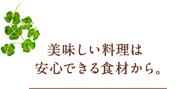 手作り煮込みハンバーグ